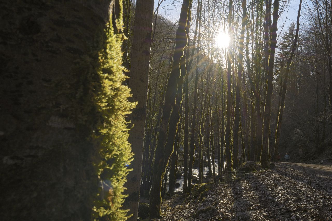 Paysage Cascade Cascade du Herisson CascadeHerisson2020-07